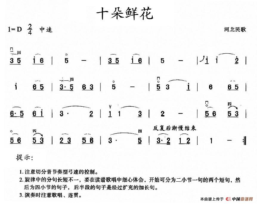 十朵鲜花(1)_原文件名：1.jpg