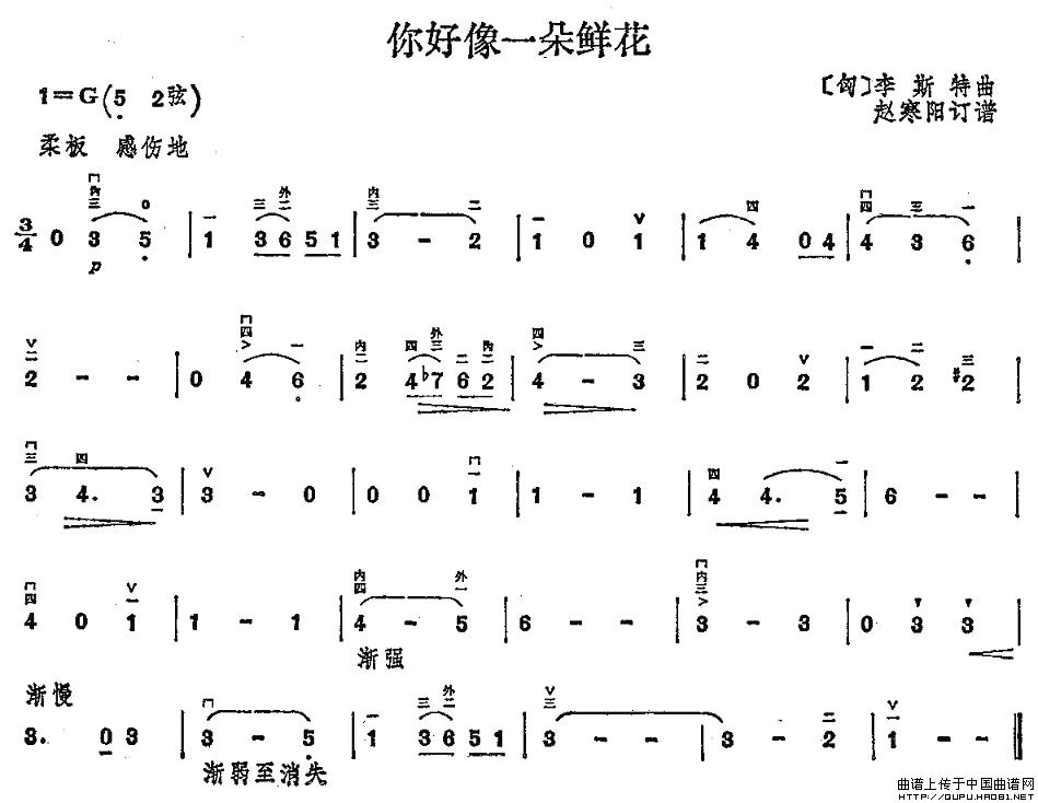 你好像一朵鲜花(1)_原文件名：你好像一朵鲜花1.jpg